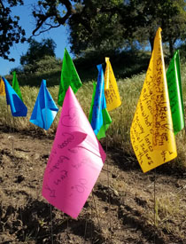 marking flags installation