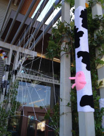 library yarn bomb