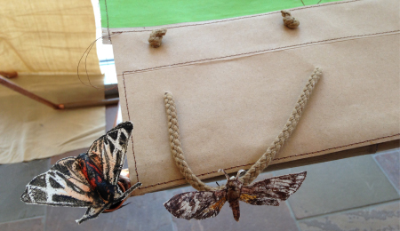 bazaar installation